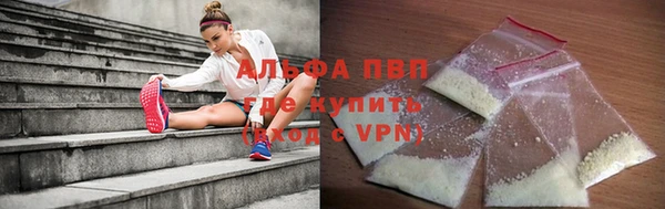 гашик Алексин