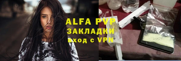 гашик Алексин