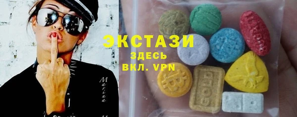 гашик Алексин