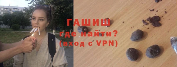 гашик Алексин