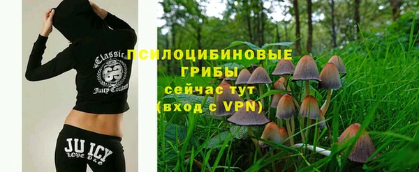 прущая мука Арсеньев