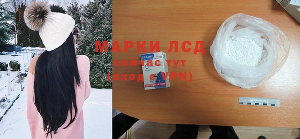 гашик Алексин