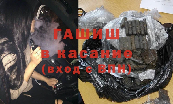 гашик Алексин